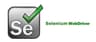 Selenium WebDriver 
